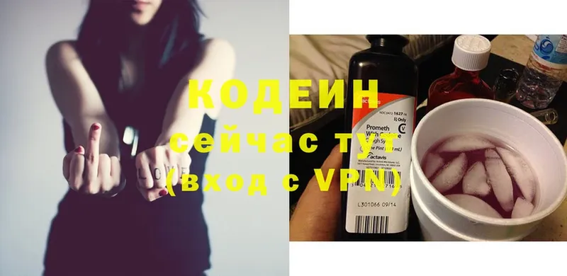 OMG ССЫЛКА  Заречный  Codein напиток Lean (лин) 